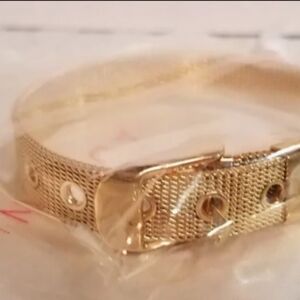 Adornia Brand Buckle Clasp 14K Gold Plated Brass Bracelet, New